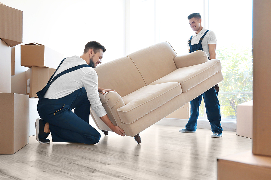 Premium removalists moving a sofa in room at new home